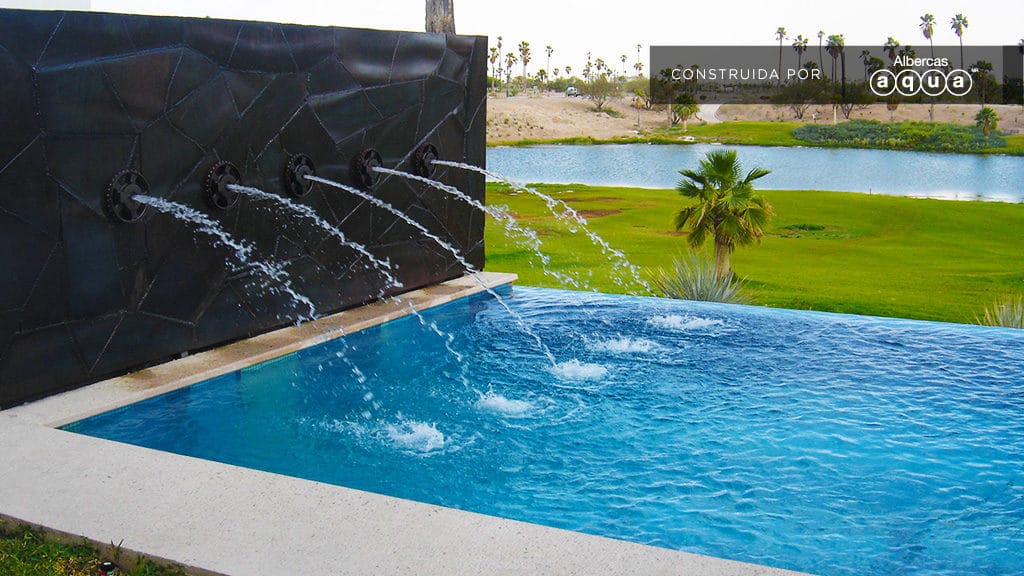 Descripción de la imagen